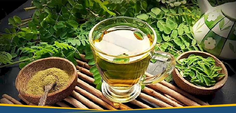 Herbal Alami Mengatasi Anemia Herbal Alami Mengatasi Anemia